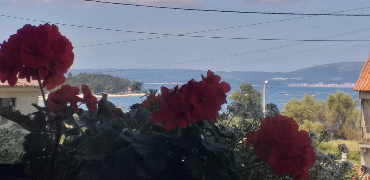Apart Romero Garden C Vilanova de Arousa Exterior foto